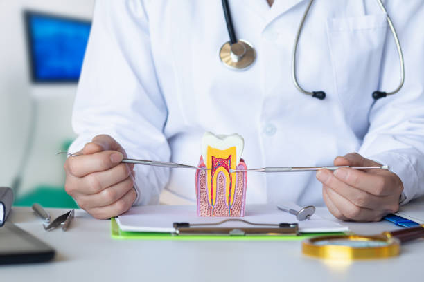Best Emergency Denture Repair in Penn State Erie, PA